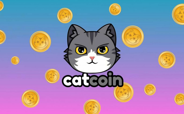 CatCoin — A community-driven project to increase appreciation for cats