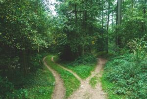 Why Starting Early Matters More Than Investing Big